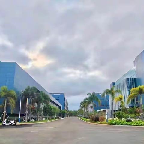 金安物业金柱文苑小区8月份第二周周报