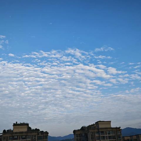 金安物业文苑项目部2023年8月份第3周工作简报