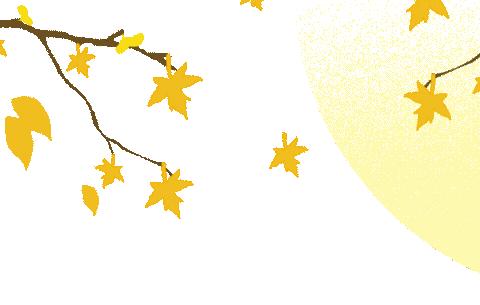 金安物业金柱文苑小区11月份第2周工作周报