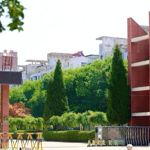 书香润童心，雅韵满校园——明德实验学校班级图书角评比活动纪实