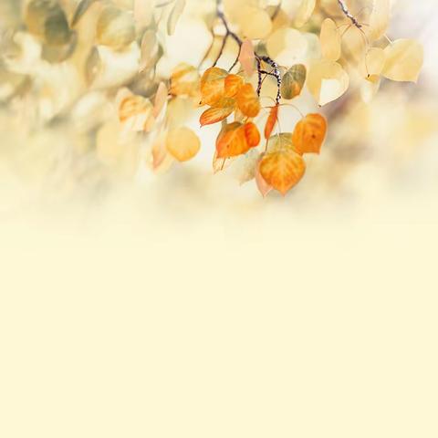 推广普通话，奋进新征程 石坡头完小推普周活动纪实