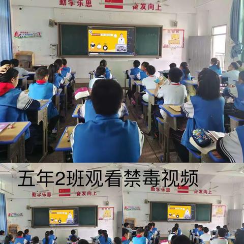 2023年禁毒观看视频