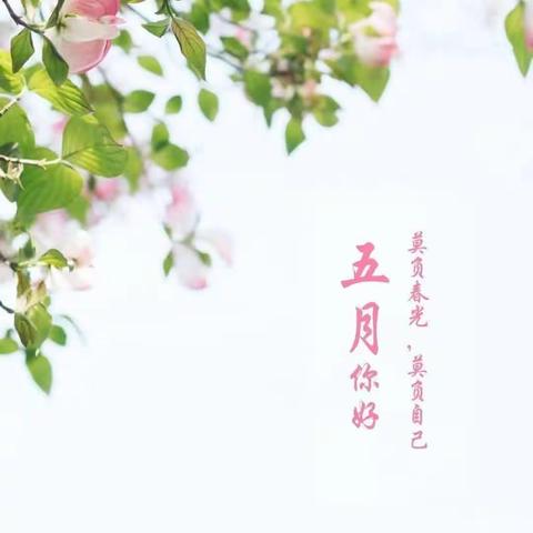 🌸成长点滴•你我共享🌵——德海幼儿园小班精彩回顾✨✨✨