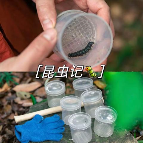 遂川博苑儿童之家Casa(1)班自然教育（昆虫记🐛）