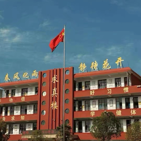 乡村校园里的科学星光——庙仙乡中心学校优秀教师事迹展播（七）