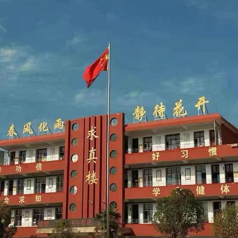 乡野筑梦人 丹心育桃李——庙仙乡中心学校优秀教师事迹展播（八）