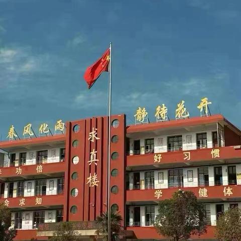 守一份初心   育满园桃李——庙仙乡中心学校优秀教师事迹展播（十一）
