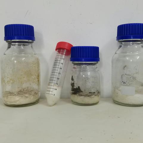 海南省林业科学研究院（海南省红树林研究院）森林保育研究所--黎母山昆虫多样性调查