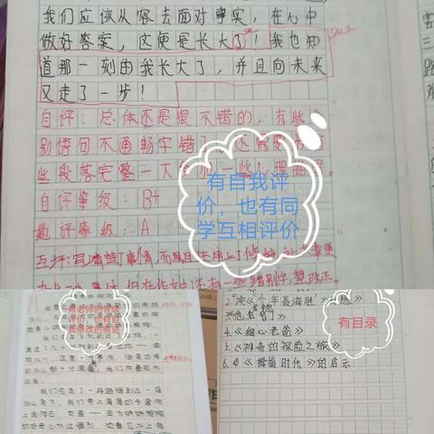 文风小学5月常规检查