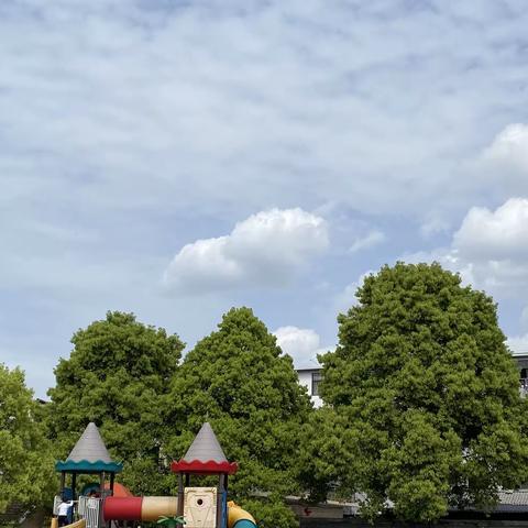 初夏 微风 和你们——中三班❤️