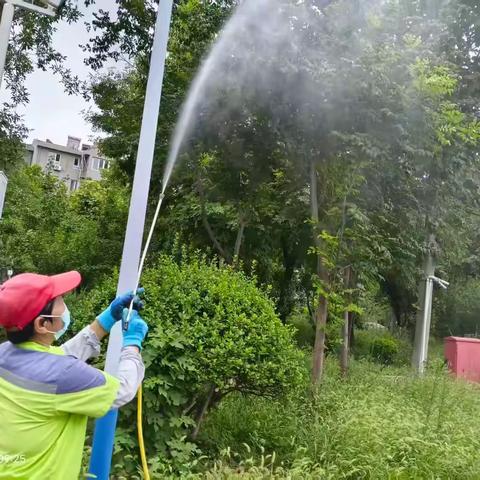 [暖心清河 一心为民]筑牢夏日防护网，守护居民平安线——华山街道翡翠清河社区开展蜱虫专项消杀行动