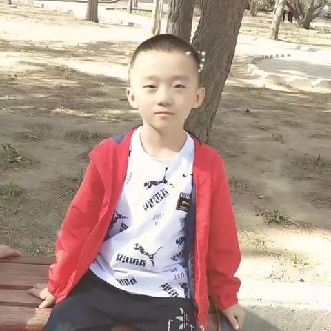 小树抽新芽，成长正当时 ——三年级下学期综合评语