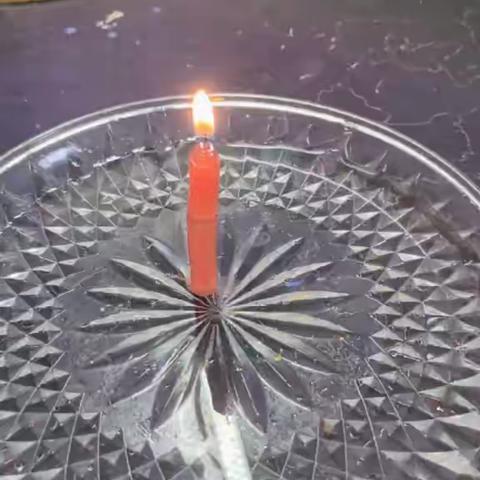 小小科学家的奇妙探索之旅