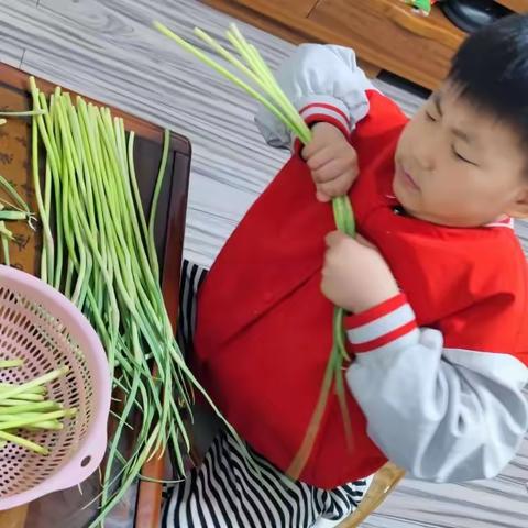 【津西·学科活动】劳动励心智，实践助成长——徐州市津浦西路小学劳动实践活动纪实