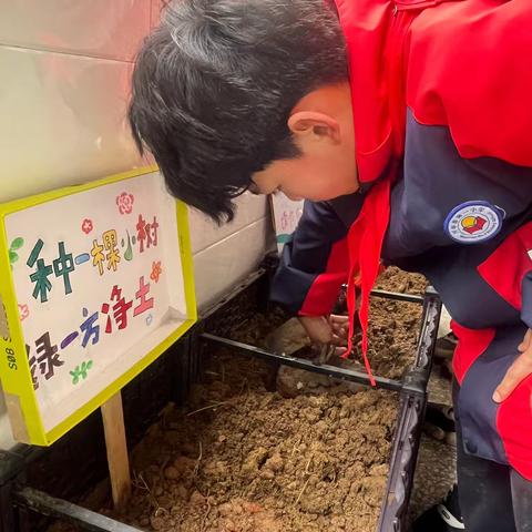“绿意萌动 春满校园” ——万年一小植树节班级种植箱行动纪实