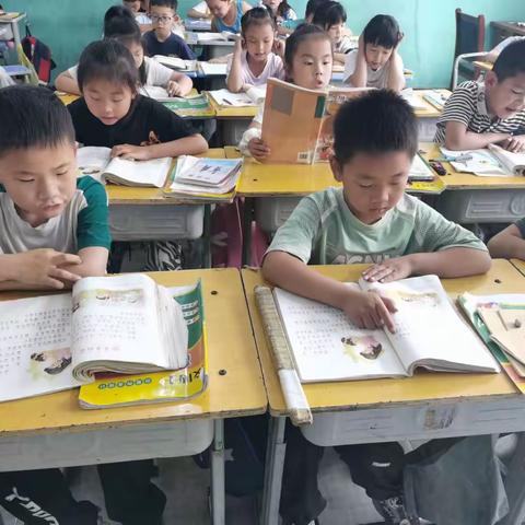 大辛庄乡中心校马河小学-校园生活掠影