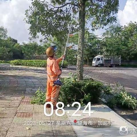 【琼海玉禾田】做好夏季绿化管护，提升园林景观效果