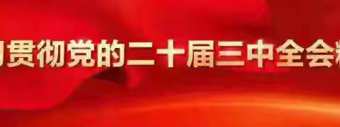 曲周县自然资源和规划局机关第三党支部召开“发扬斗争精神 锻造优良作风”主题党日活动
