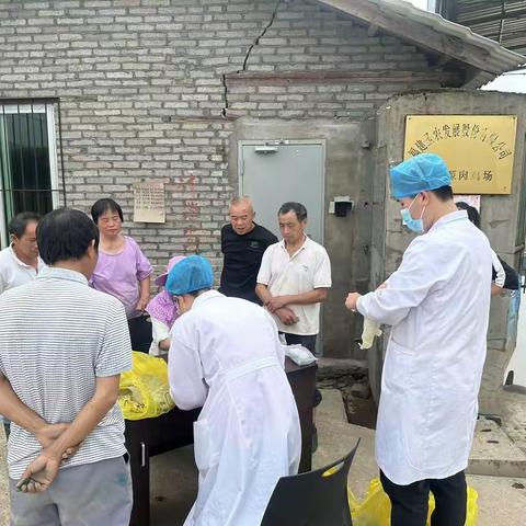 【全民健康网格化服务】上门办证 便民于行