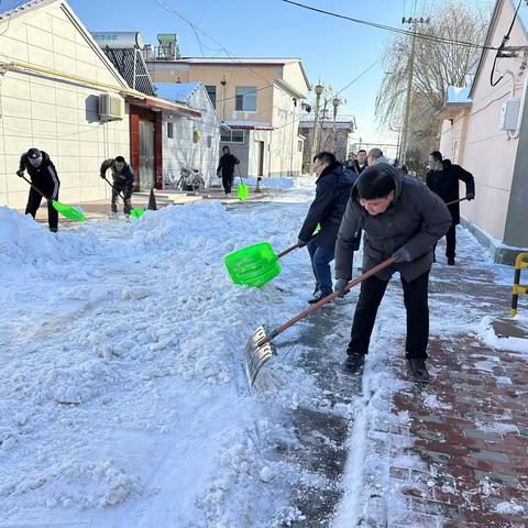 党员带头共奋战 扫雪除冰暖心人