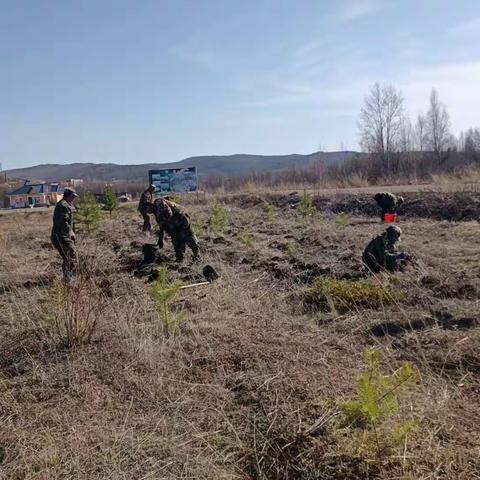 凝心聚力促发展 赤芍种植谱新篇——长山林场积极开展赤芍种植