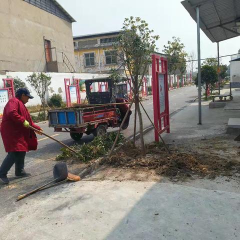 吴庄社区开展植树活动