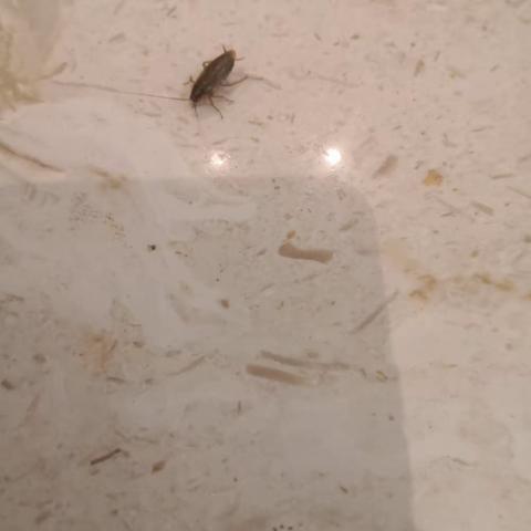 王德清（采购部经理）的简篇