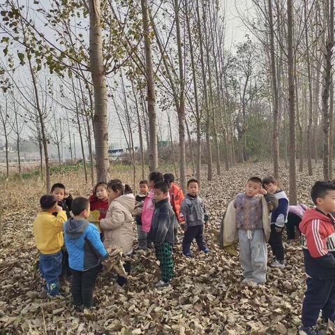 关爱学生幸福成长之“才感秋来，忽而已冬”——东王女学校附设班