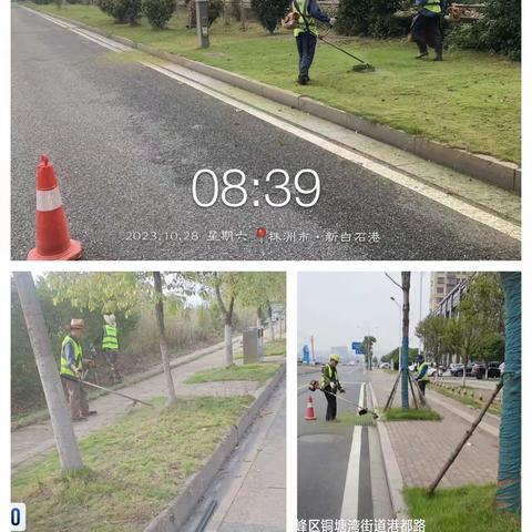 多举措扎实做好绿化管理养护工作-----山河建设绿化养护公司10月份工作动态
