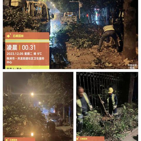 扎实做好绿化养护，助力文明城市复审------山河建设绿化精细化养护在行动