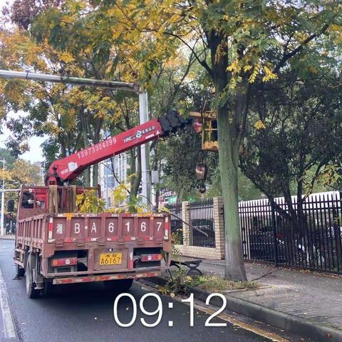 消除道路安全隐患 修剪遮挡视线树枝