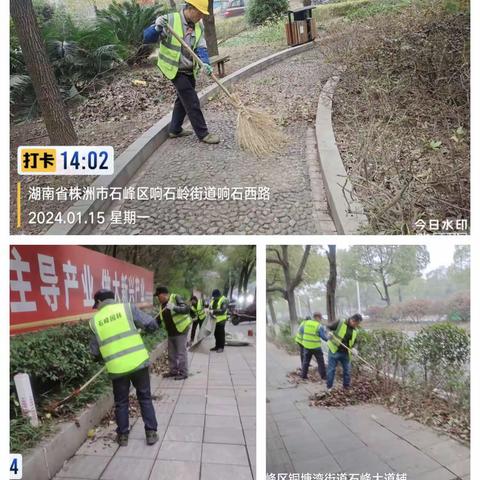 切实加强绿化养护管理，美化绿化环境喜迎春节-----山河建设绿化养护公司元月份工作动态