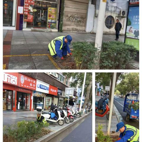 多措并举开展春季养护----山河建设绿化养护公司2月份工作动态