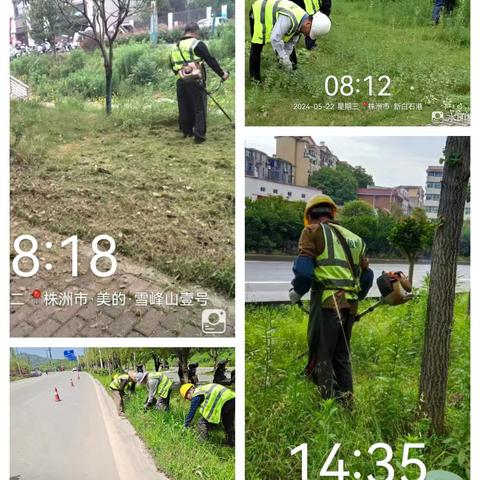 不负初夏好时光，园林绿化养护忙----山河建设绿化养护公司5月份工作动态