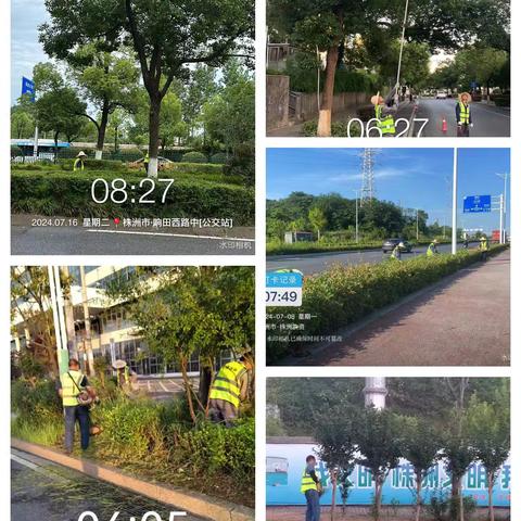 烈日炎炎夏日长 石峰绿化养护忙-----仁仁洁石峰绿化养护公司7月份工作动态