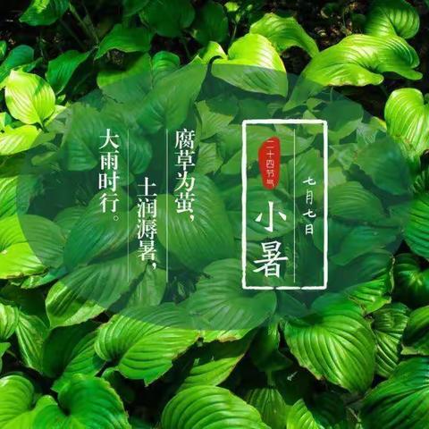 倏忽温风至，因循小暑来——檀营小学《最美朗读者》（第七季）第十七期