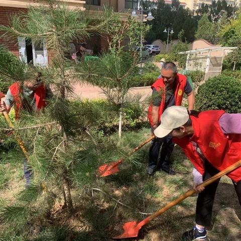 【“三抓三促”行动进行时】 携手植树添绿 共建美好家园