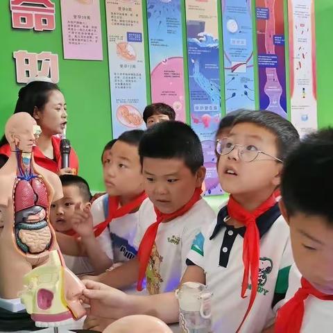 为孩子们筑梦——了解人体构造
