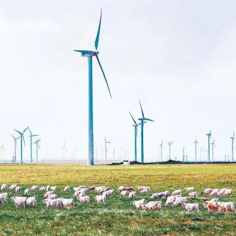 持续优化营商环境 大力发展绿色能源