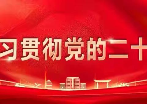 溧河乡安全教育之交通安全教育