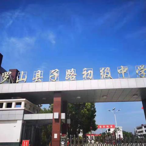 中考喜报 子路初中2025年中考再创佳绩