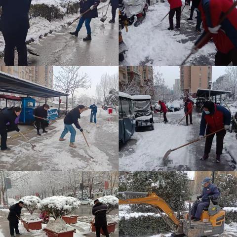 冬雪如约而至  物业除雪暖人心