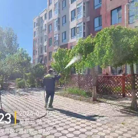 【西宾街道燕都社区】深化能力作风建设｜社区联合物业提前治理草木虫害