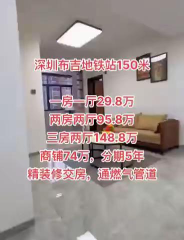 布吉东站【布吉·城央府】布吉地铁口项目 深圳中轴，罗湖腹心地段 三房首付70万起