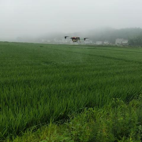 【建宁县农业农村局】多措并举，实现农药减量控害