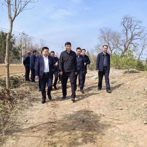 罗军到淳化调研林长制工作