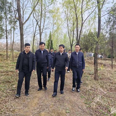 郭立志调研林长制工作