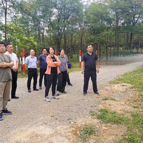 陕西省林业局深入淳化调研森林经营工作