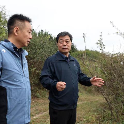 郭立志调研林长制工作