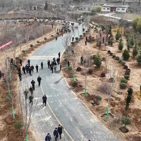 以树为笔 绘就生态答卷